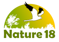 Nature 18